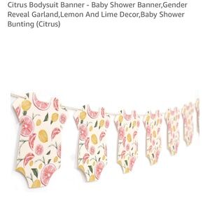 Citrus Body Suit Banner